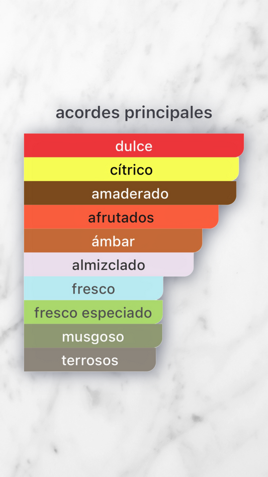 Club de Nuit Precieux I Armaf